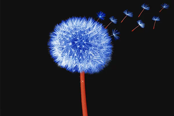 PROSTHETIC COMPONENTS - RESISTA