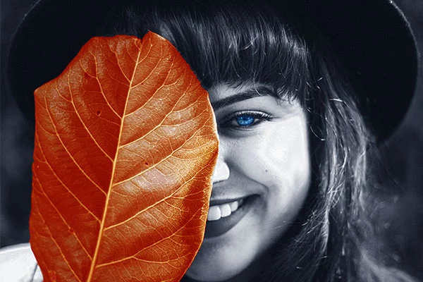 ORTHODONTICS - RESISTA