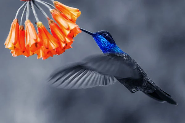 SOLUTIONS & SERVICES - RESISTA