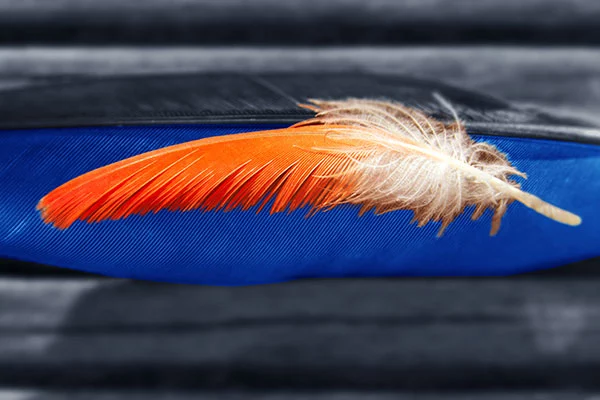 TECNOLOGIE DA BANCO - RESISTA